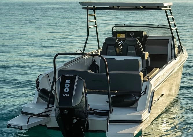 PROTAGON 25 Sundeck + Honda Outboard